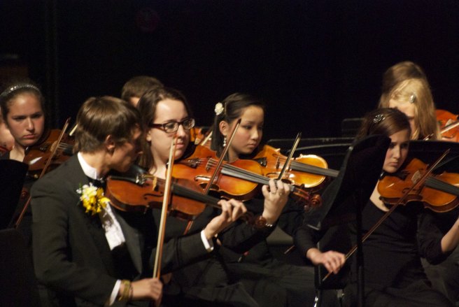 Orchestra - string section